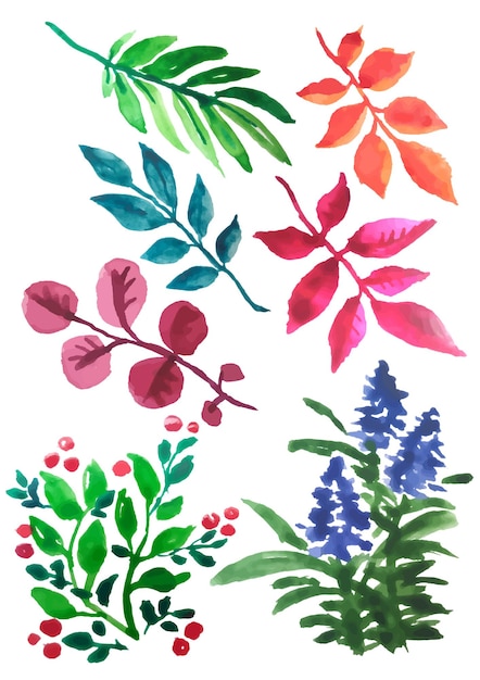 Set of leaves and watercolor flowers Floral colorful collection Flowers for design invitations and greeting cards