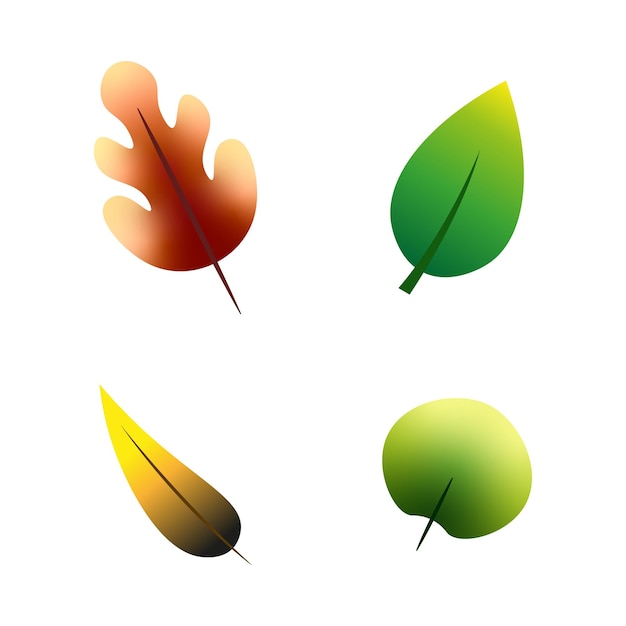 set of leaves with different colors