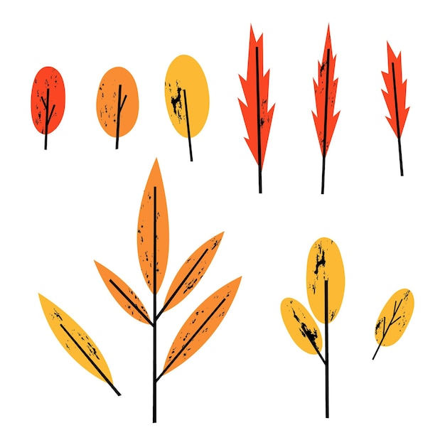 Set of leaves