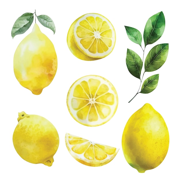 Set of lemon watercolor paint ilustration