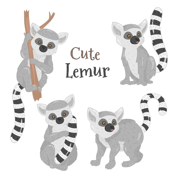 set of lemur