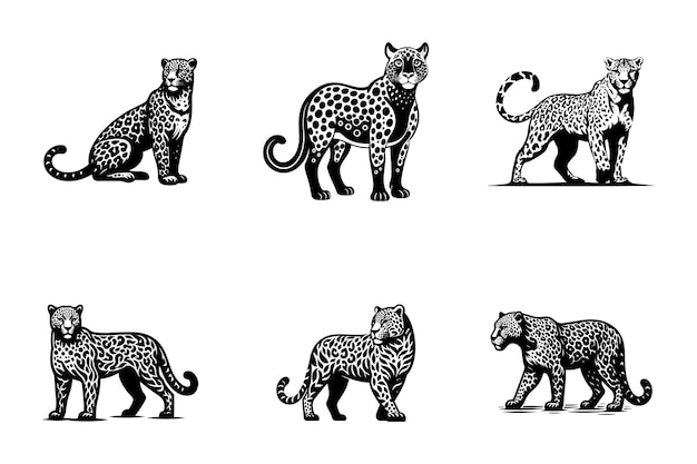 Vector set of leopard full body vector art silhouette icon logo doddle design black and white