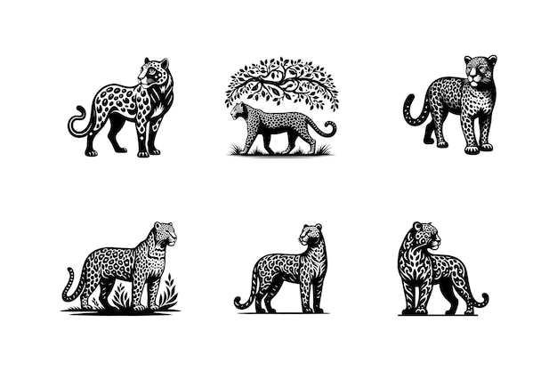 set of leopard full body vector art silhouette icon logo doddle design black and white