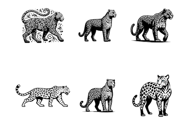 set of leopard full body vector art silhouette icon logo doddle design black and white