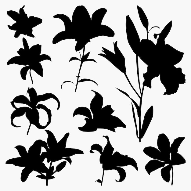 Set of Lily Flower Silhouettes