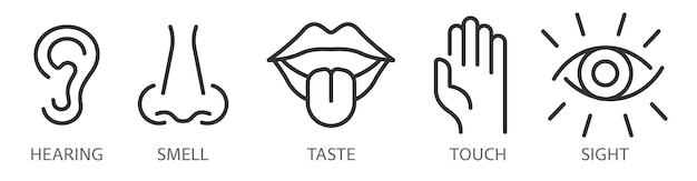 A set of linear icons of human feelings. Sight, hearing, smell, touch, taste. Editable stroke