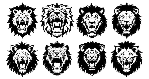 Set of lion heads with open mouth and bared fangs with different angry expressions of the muzzle Symbols for tattoo emblem or logo isolated on a white background