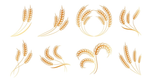 Set of logos from spikelets of wheat, rye, barley, golden design. Decor elements, icons, vector