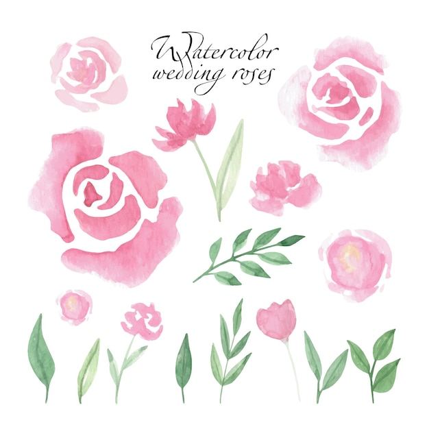 Set loose watercolor roses for gift card, invitation, wedding menu.