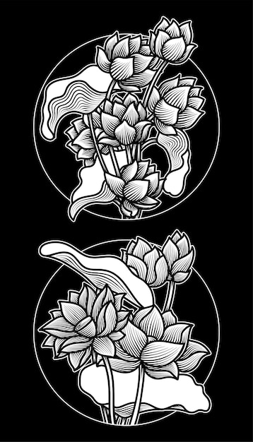 Set of Lotus Flower Illustrations