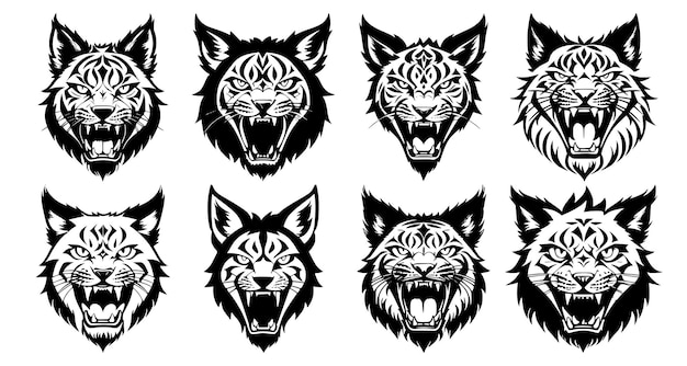 Set of lynx heads with open mouth and bared fangs with different angry expressions of the muzzle Symbols for tattoo emblem or logo isolated on a white background