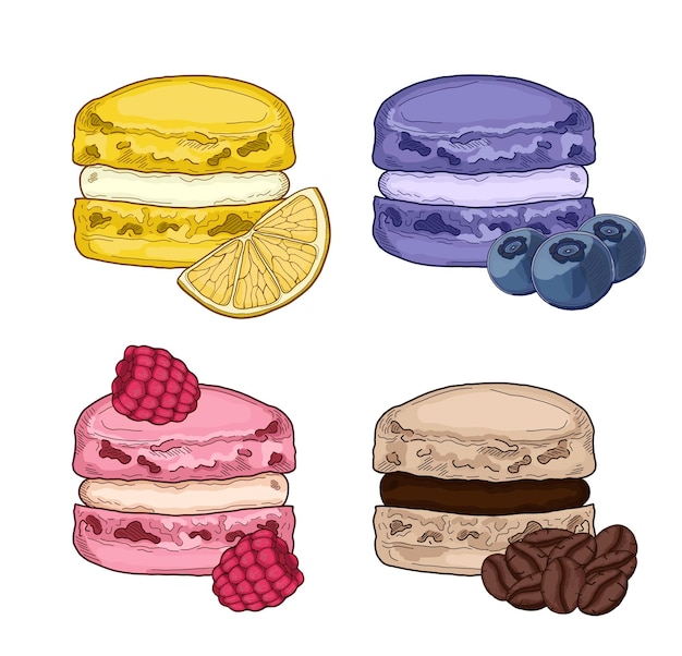 Vector set of macarons french pastry pattiserie lemon blueberry raspberry coffe vector illustration