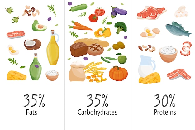 Vector set of macronutrients carbohydrates proteins fats presented by food products vector illustration