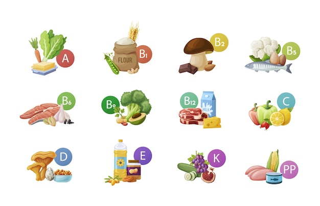 Set of main food groups macro and micronutrients