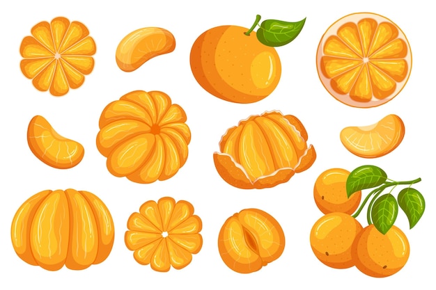 Set Of Mandarin Fruits Bright And Juicy Fresh Citrus Snacking Tasty Fruits Peeled Unpeeled Whole And Sliced