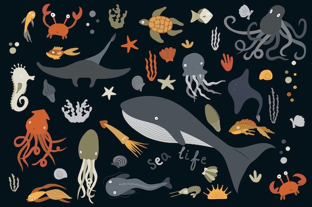 Set of marine animals and aquatic plants Cartoon sea life vector illustration isolated on black