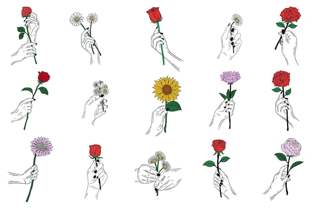 Set Mega Collection Bundle Women Hand Holding Rose Flower Gesture Flat line Art illustration