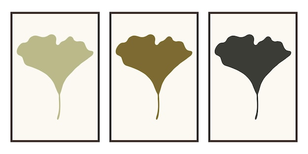 Set of minimalist paintings with botanical elements in frames