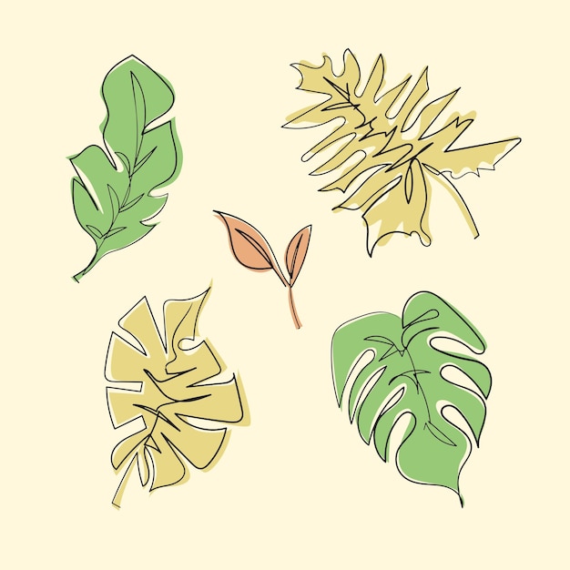 Set of monstera leaves in outline vector