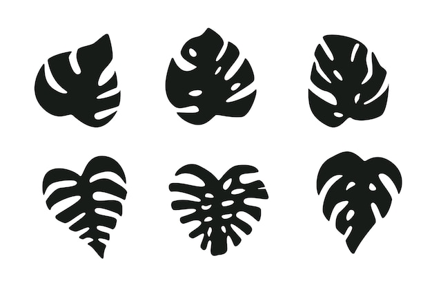 Set of Monstera leaves, tropical jungle plant. Vector illustration in a flat style.