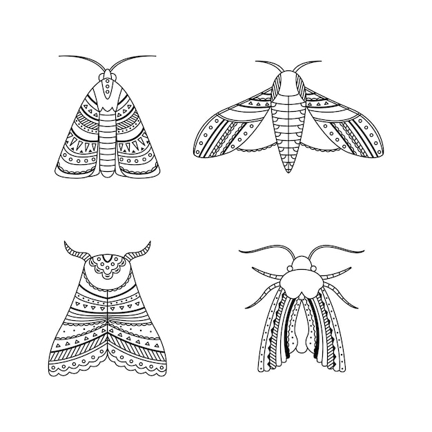 Set of moths in boho styles. Geometric tribal outline illustration.