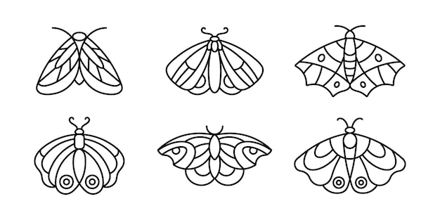 A set of Moths' and Butterfly icon Outlines in a minimalist style. Vector Linear Insect Logos for beauty salons, manicure, massage, Spa, tattoo and hand made masters.