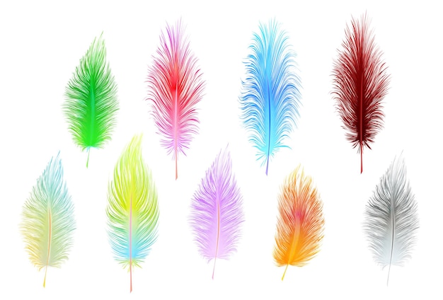 Set of multi-colored vector feathers isolated on white background