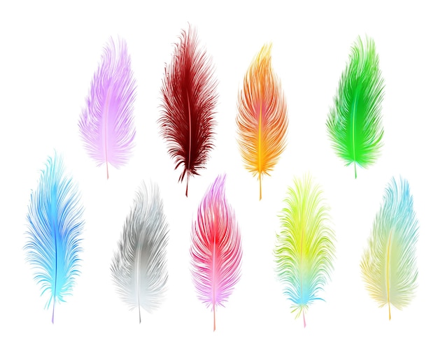 Set of multi-colored vector feathers isolated on white background