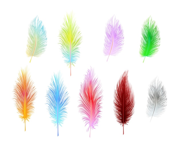 Set of multi-colored vector feathers isolated on white background