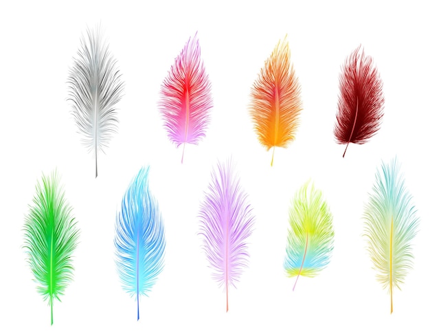 Set of multi-colored vector feathers isolated on white background