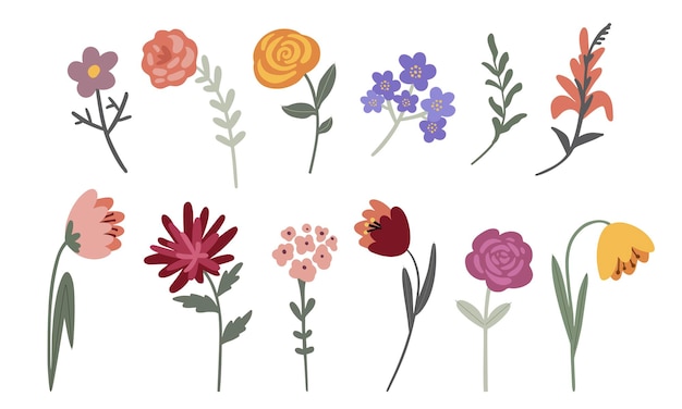 set of multicolored garden flowers on a light background