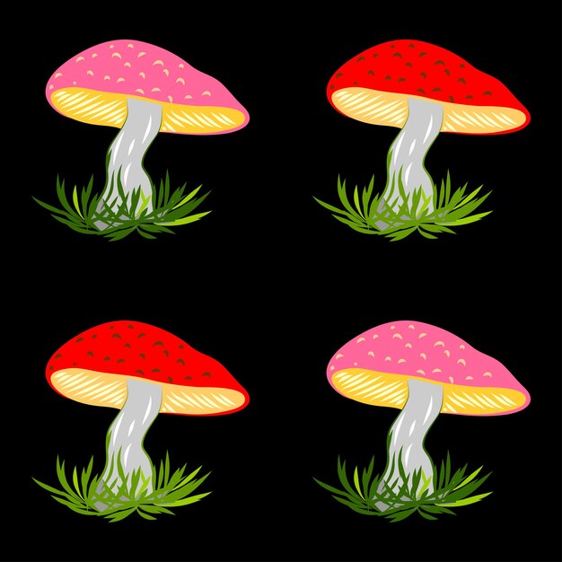 Set of mushrooms