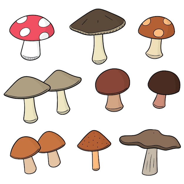 set of mushrooms