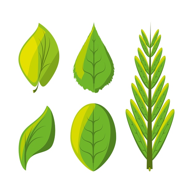 set of natural and ecology icons leaves design