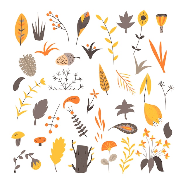 Vector set of natural elements in a scandinavian style on white background. flat vector illustration.