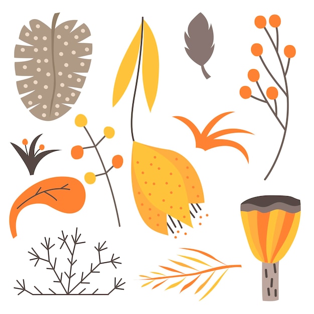 Set of natural elements in a Scandinavian style on white background Flat vector illustration