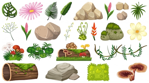 Set of nature elements