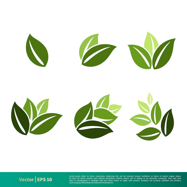 Set Nature Green Leaf Icon Vector Logo Template Illustration Design EPS 10