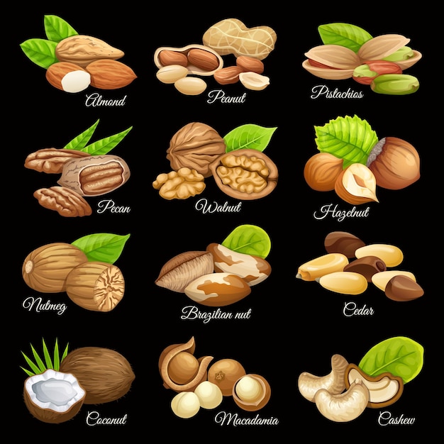 Set of nuts food grains.