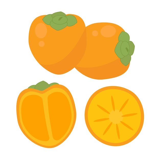 Set odifferent corners of persimmon vector