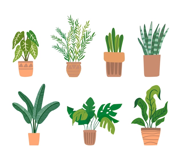 Set of office plants in pots Premium Vector