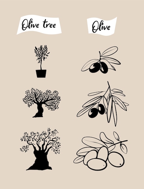 Vector set of olive branch and olive trees hand drawn illustrations