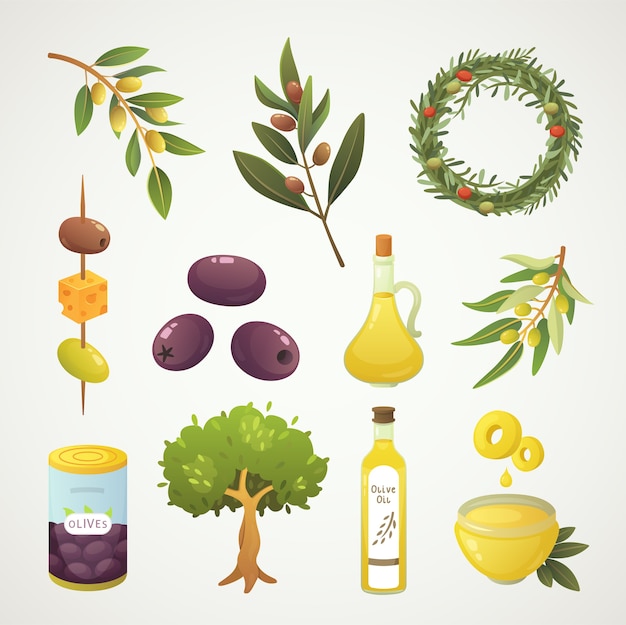 Set olives fruit. Olive oil bottle, branch, tree and rosemary wreath   illustration in cartoon style.