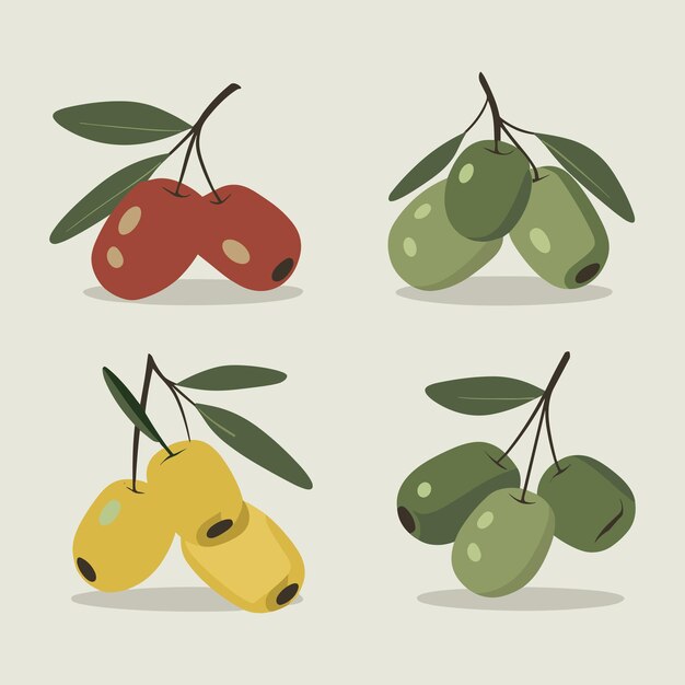 Vector set of olives with leaves vector illustration in flat style