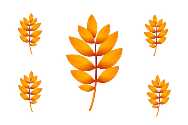 a set of orange leaves with orange leaves on a white background