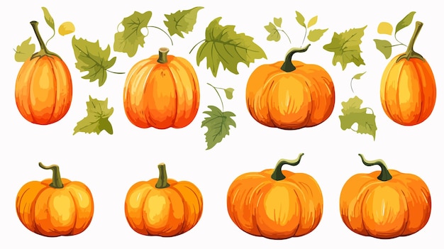 Vector set of orange pumpkins and green leaves isolated on white background