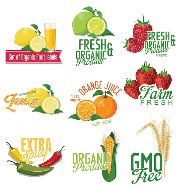 Set of organic fruit and vegetables labels collection