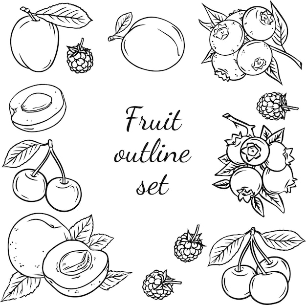 Vector set of outline hand drawn fruits fruit sketch with lettering