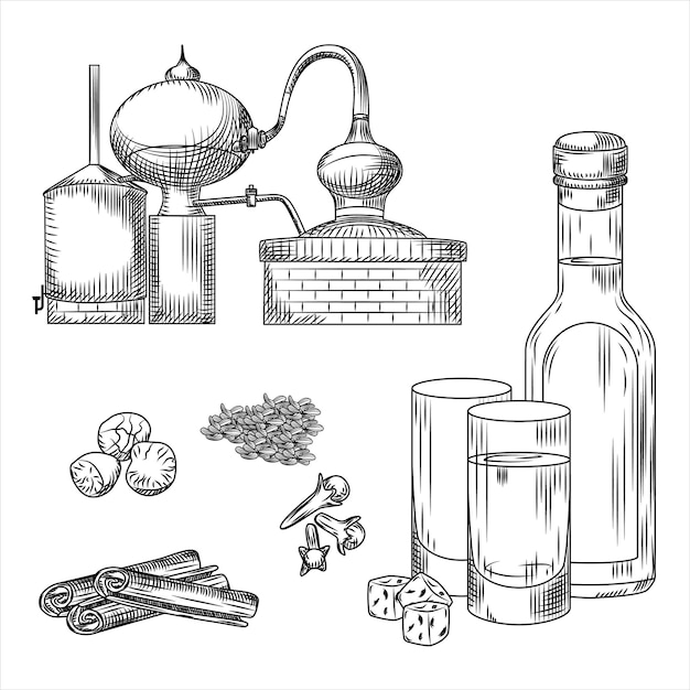 Set of Ouzo Greek alcohol elements on white