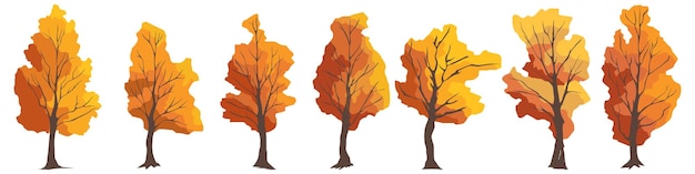 Vector set of painted trees autumn trees isolated on white background design